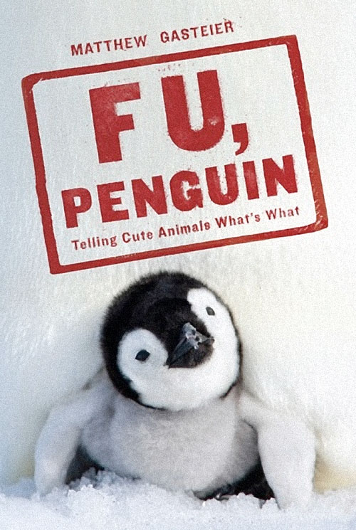 F U Penguin