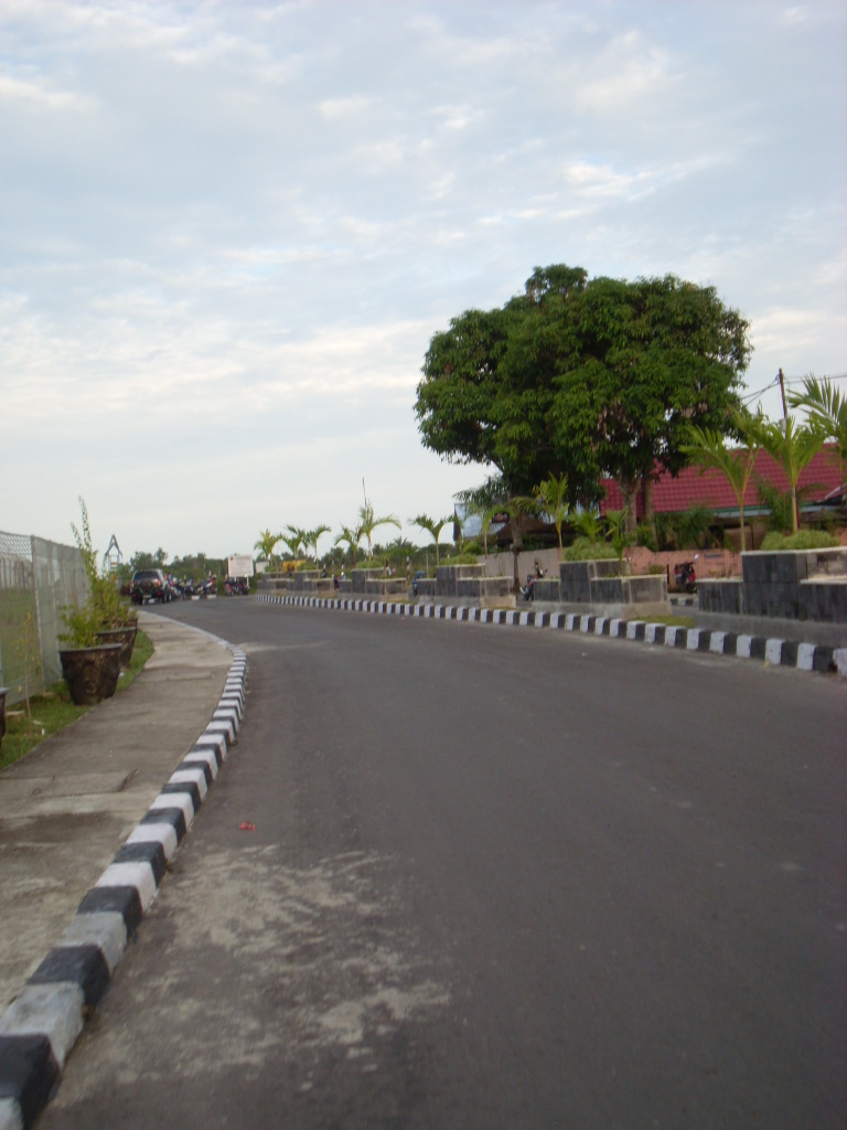 [SL371494.JPG]