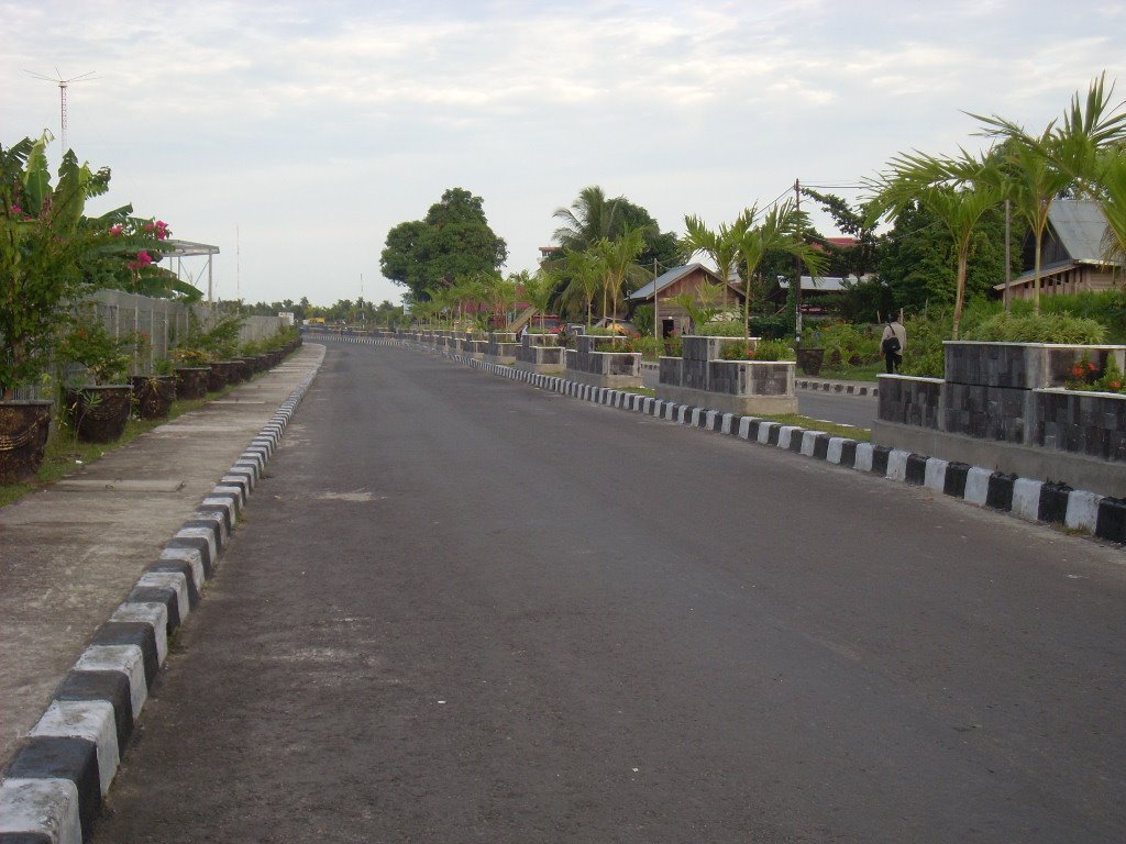 [SL371492.JPG]