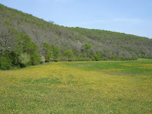 Près de l'Oeil de la Doue