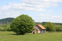 Plaine de la Tourmente
