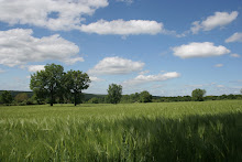 Le causse près d'Alvignac