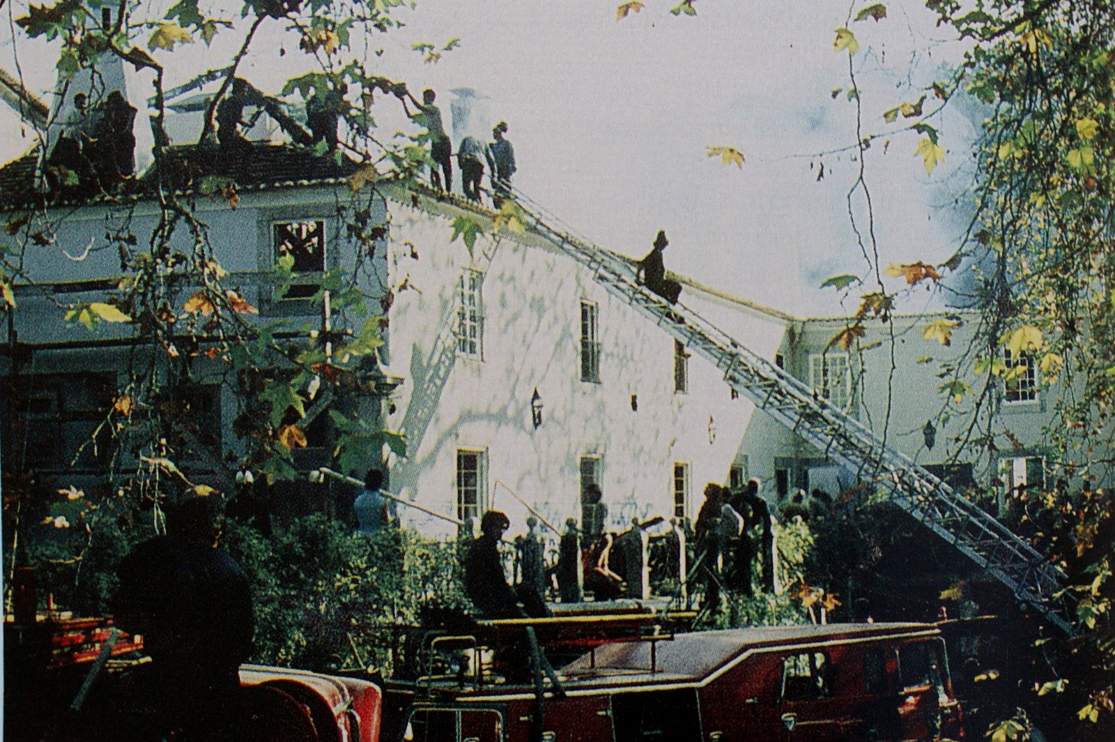 [quintavinagreincendio.jpg]