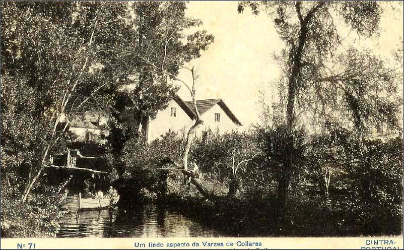 [Colares-Varzea02.jpg]