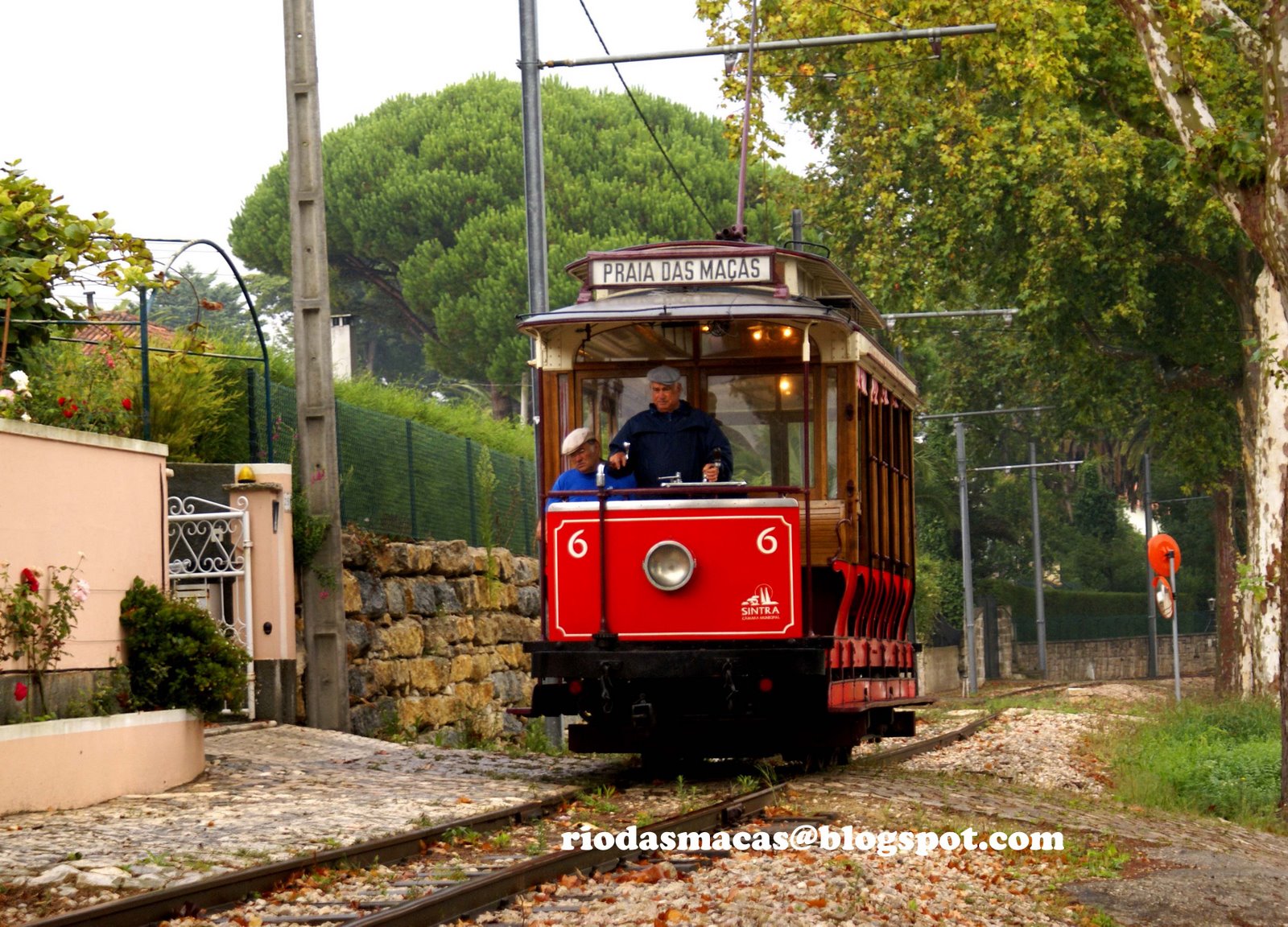 [ELECTRICOCOLARES.jpg]