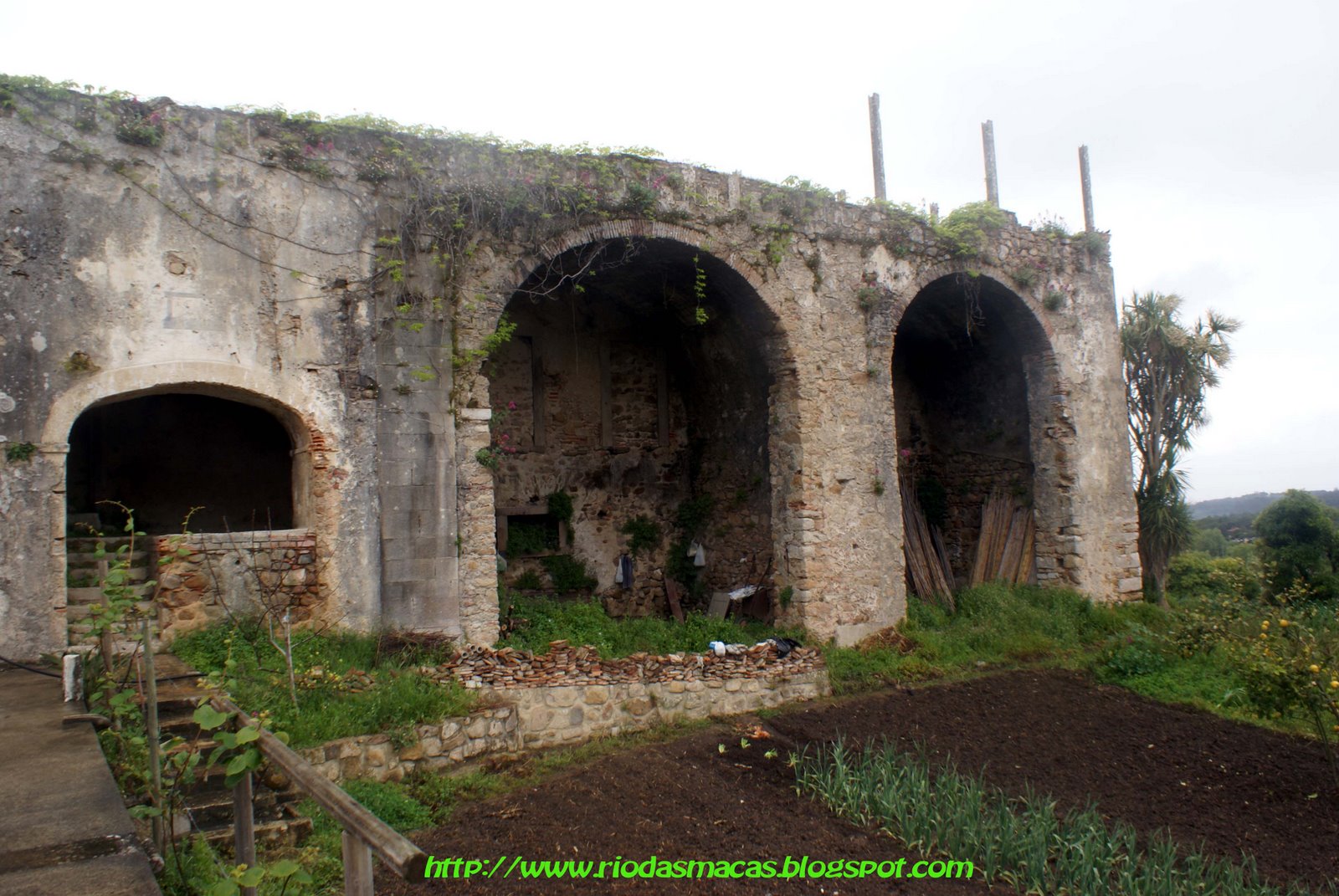 [castelocolares6.jpg]