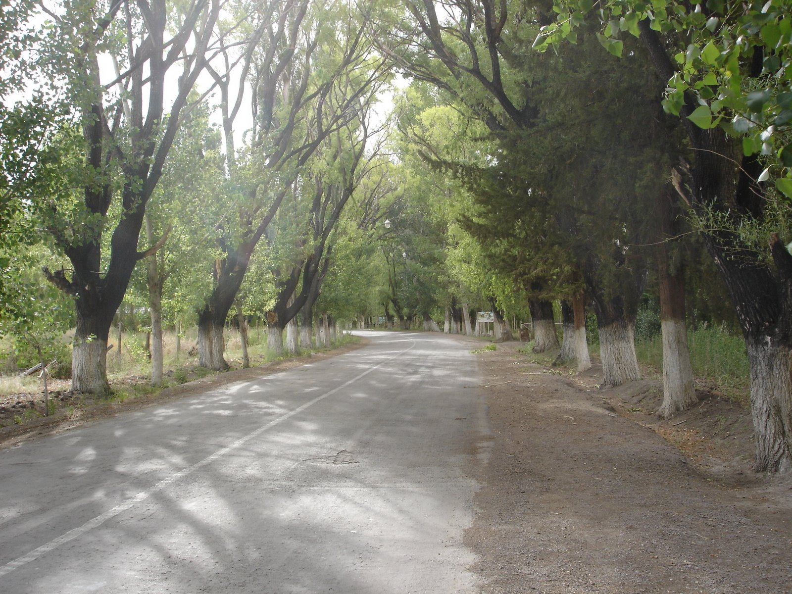 [DSC02895.JPG]