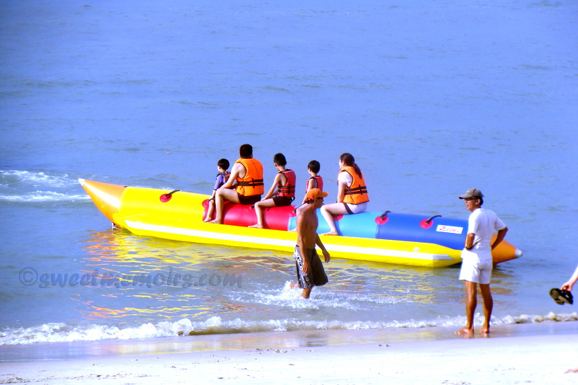 Cherry Berry : Flamingo by the Beach (Penang, Malaysia)