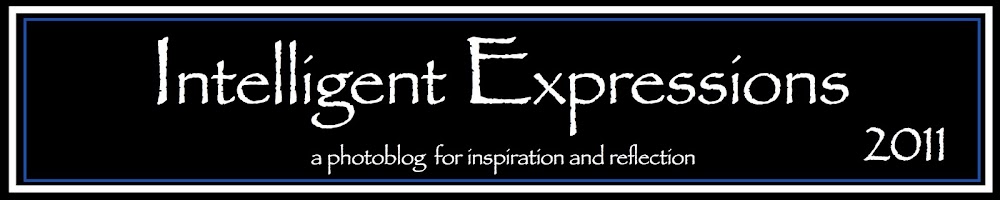 Intelligent Expressions
