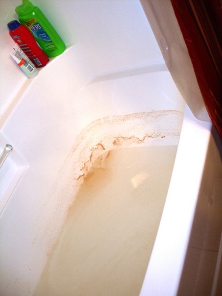 [n55711332_36079886_2297.jpg]