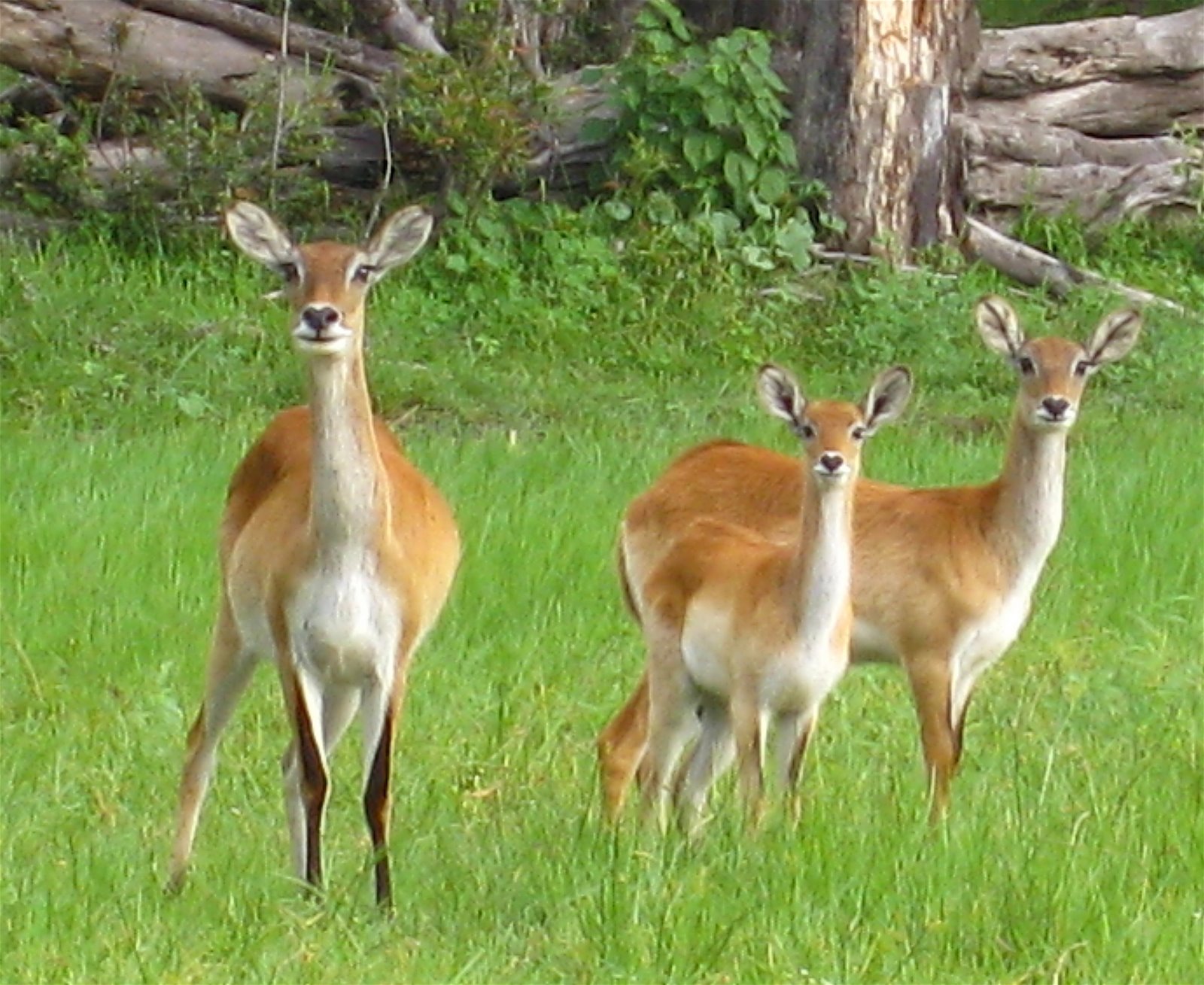 [IMG_2323.JPG]