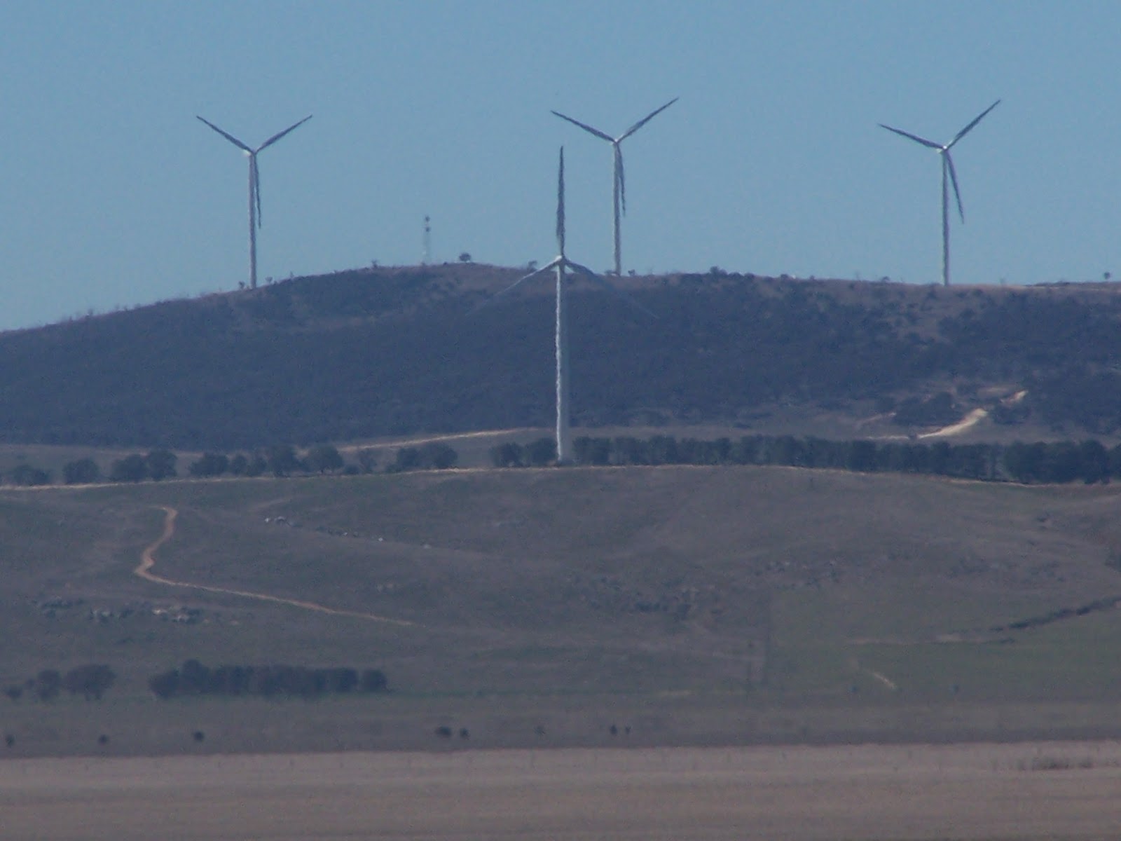 bungendore nsw