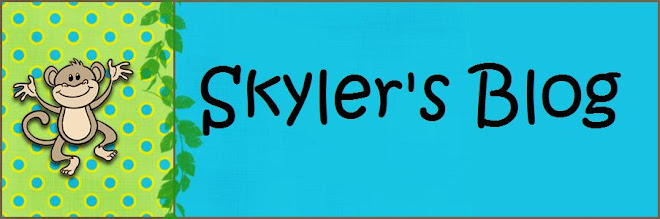 Skyler & Adriel's Blog