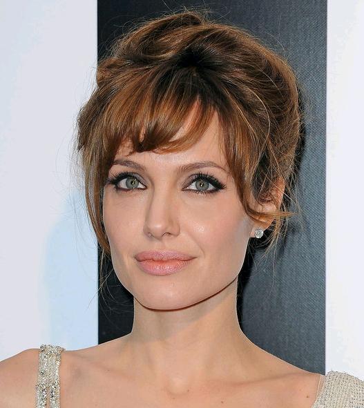 Updo Hairstyles 2013 Angelina Jolie Updo Hairstyles