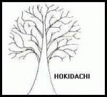 Como postar Fotos Hokidachi