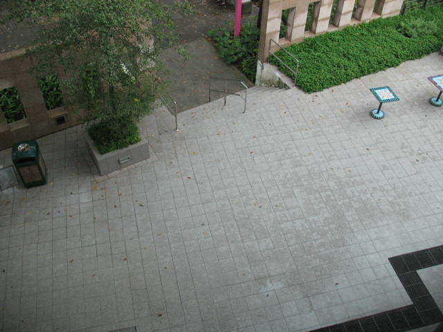 [IMG_0348.JPG]