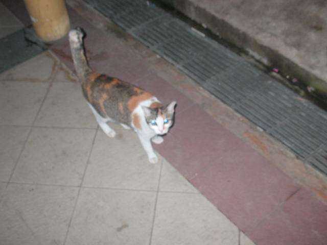 [IMG_1658.JPG]