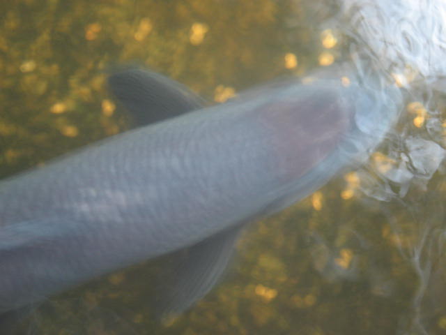 [IMG_0615.JPG]