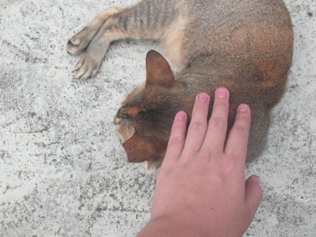 [IMG_0575.JPG]