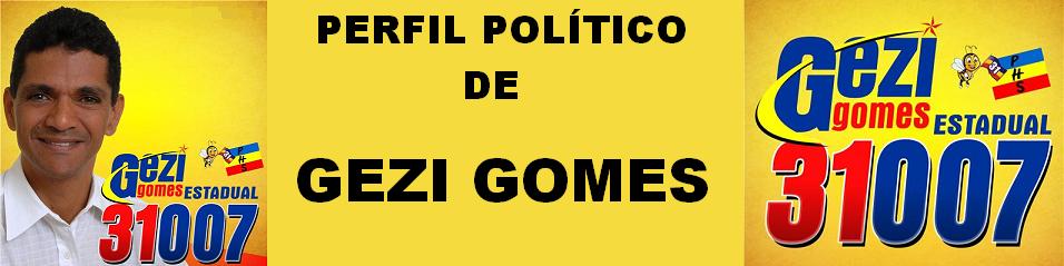 PERFIL POLÍTICO DE GEZI GOMES