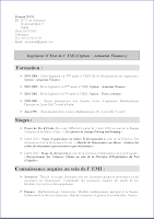 exemple de cv 7