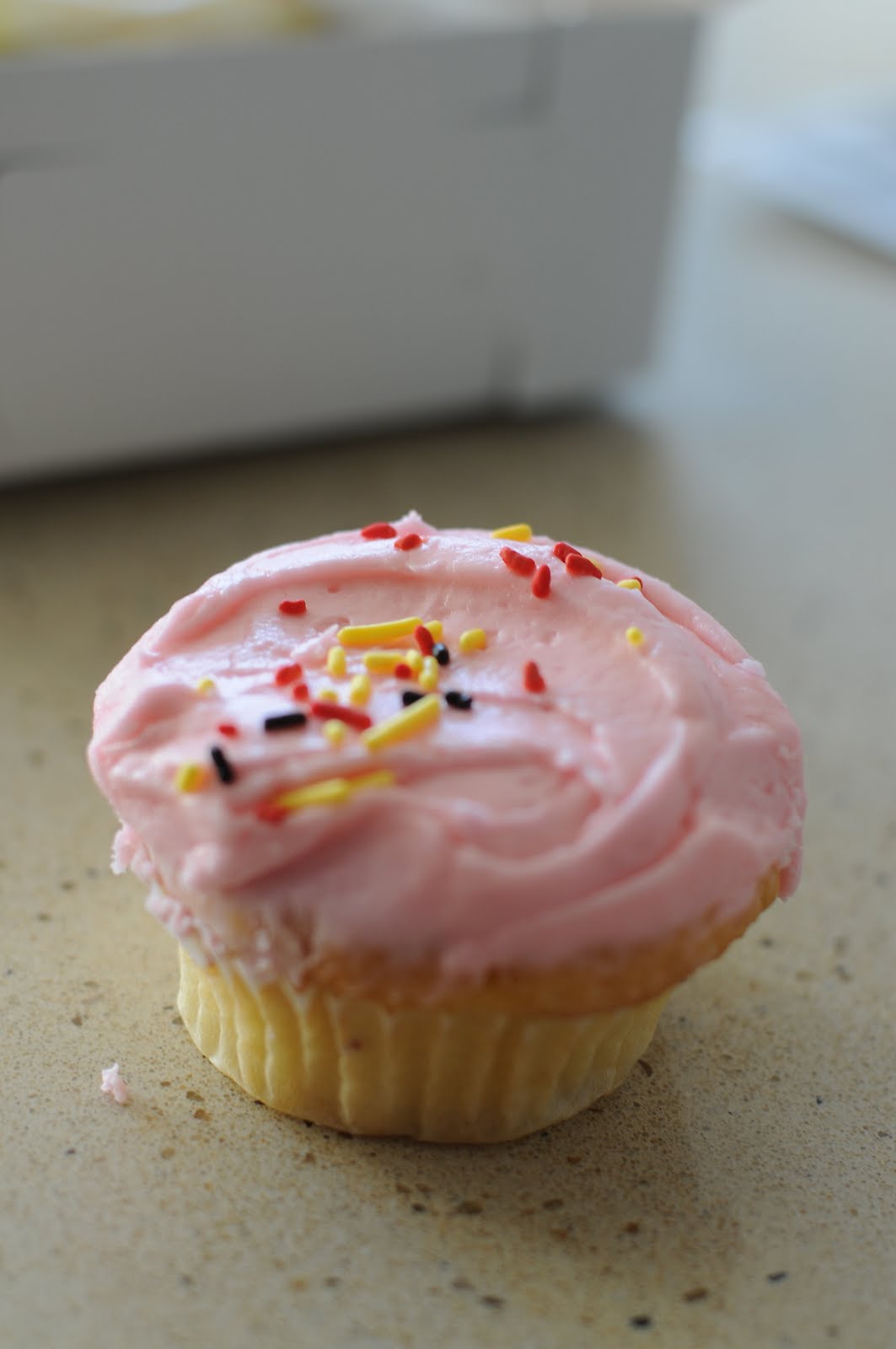 The Cupcake Activist Review Sugar Sweet Sunshine Bakery