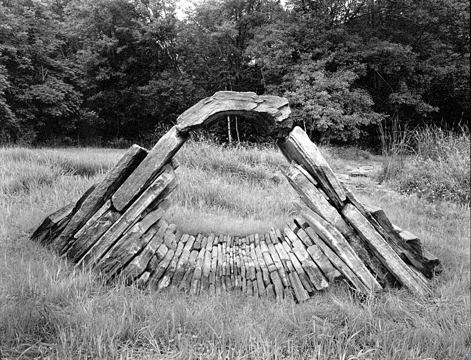 IN THE COMPANY OF STONE GALLERY