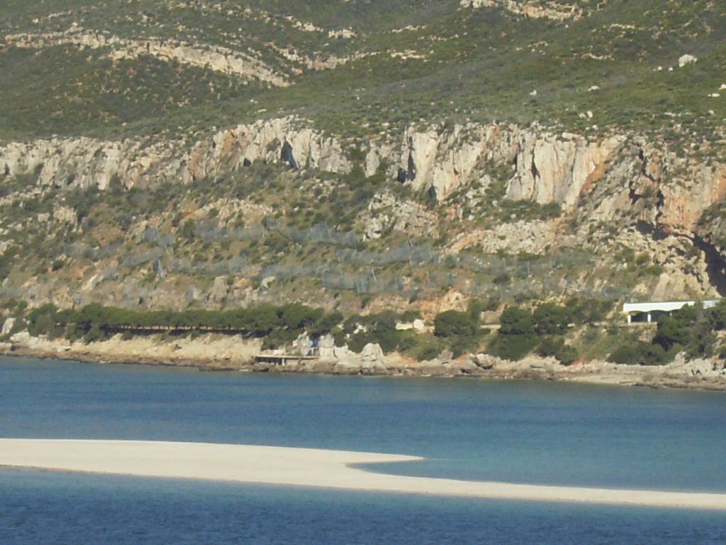 [Seagull+-+1765.JPG]