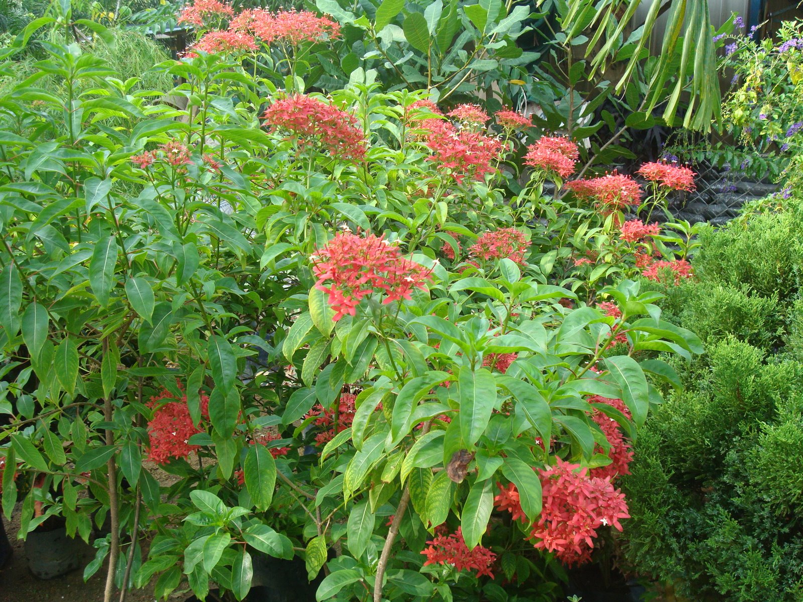 [DSC09429.JPG]