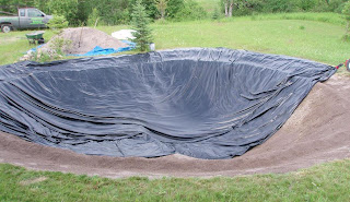 pond-installation.jpg