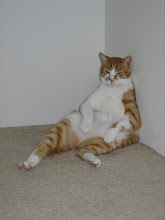 Nubbin Chillin'