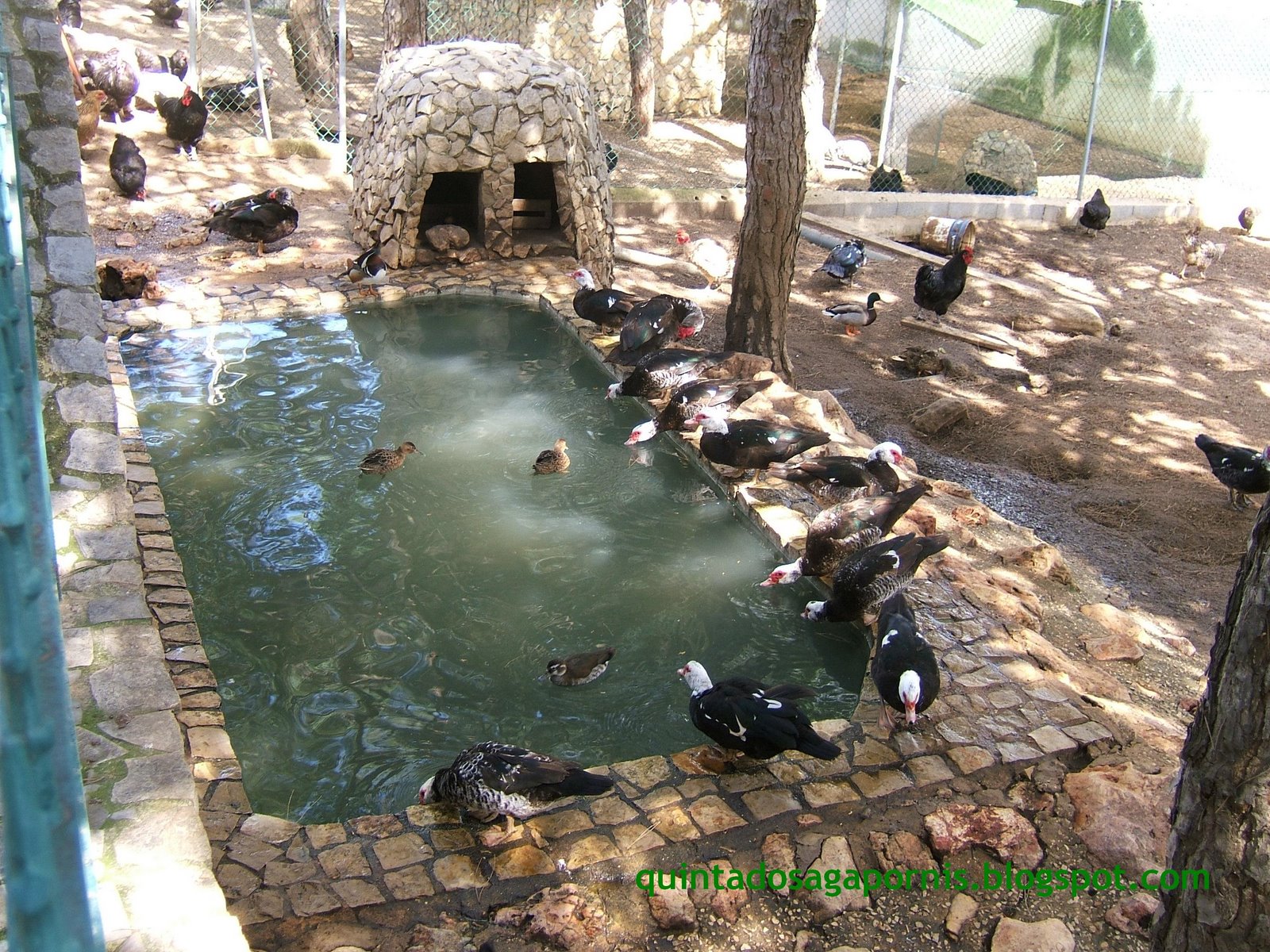 [lago+nÂº2.JPG]