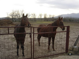 WANIA Y ALEJANDRÍA