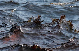 Oily water in the Gulf of “Mexico”