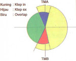 diagram LSA