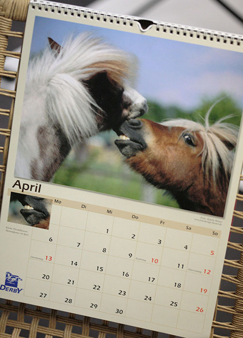 [kalender2.JPG]