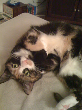 My Child: Miss Scarlet
