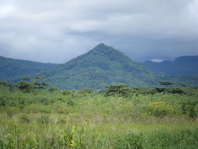 Pohnpei scenic view in Nett