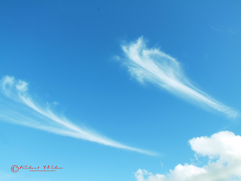 sky feathers