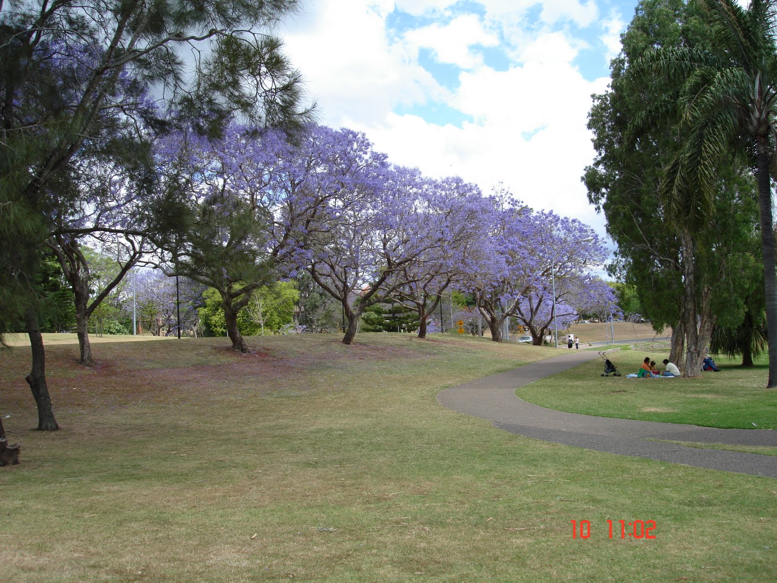 [DSC06123.JPG]