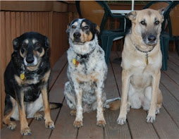 My Predecessors: