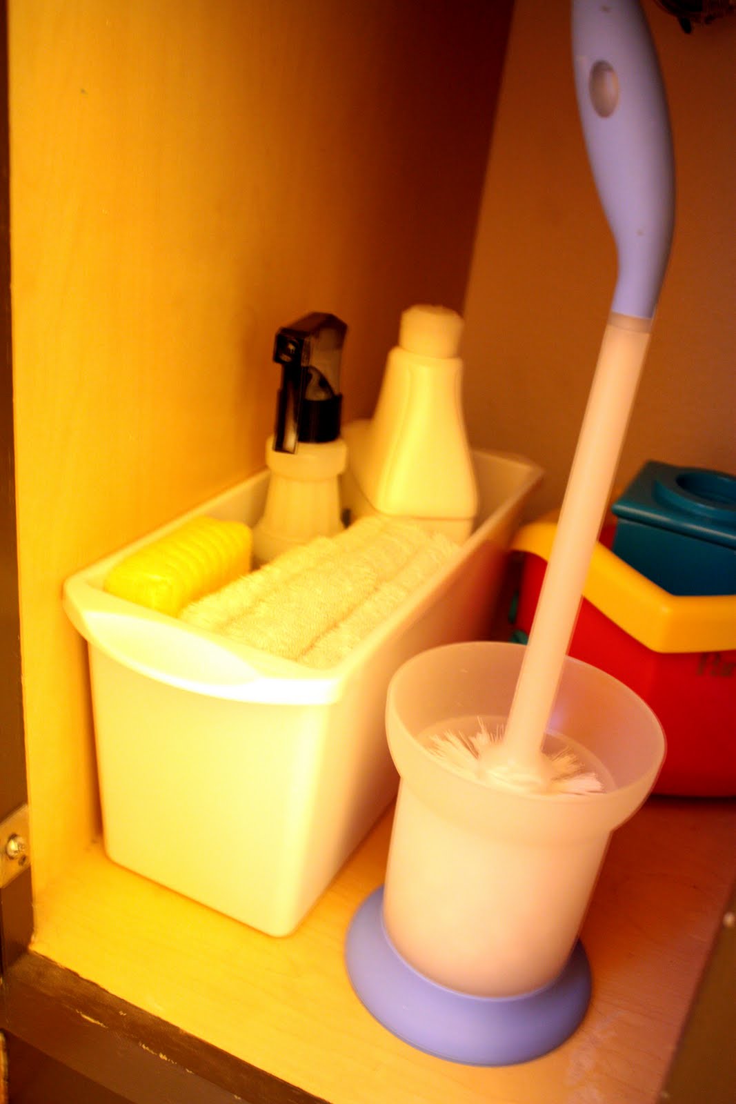 IHeart Organizing Got 15? Bathroom Cleaning Supplies