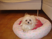 a clara
