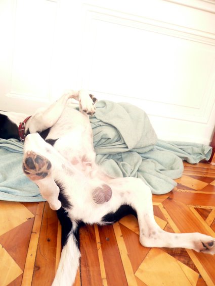 [lazy+sunday...4.1.jpg]
