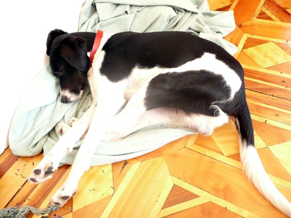 [lazy+sunday...3.jpg]