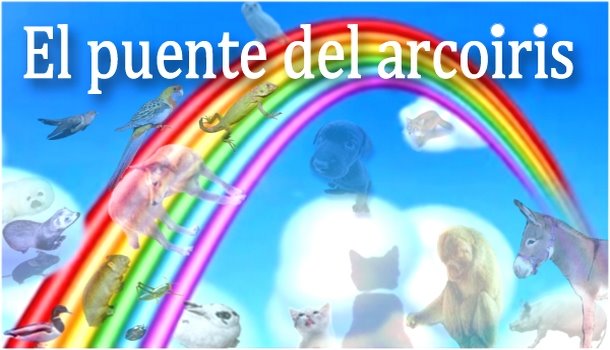 El Puente del arcoiris