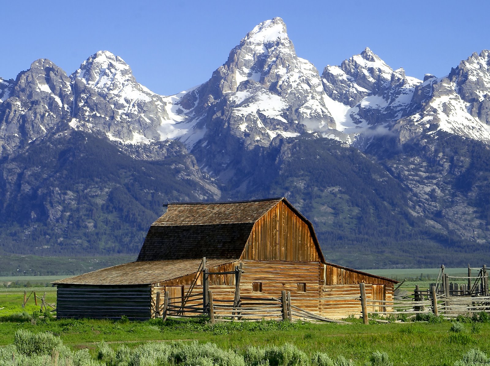 Rocky Mountain Timberlands Buying Wyoming Real Estate