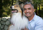 Cesar Millan