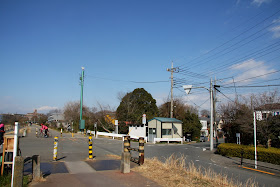 多摩サイを楽しもう 日野橋 石田大橋 立川 国立周辺