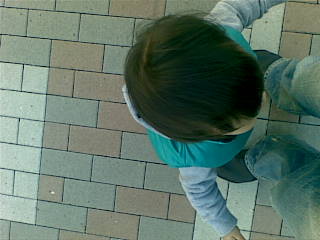 [20081206.jpg]